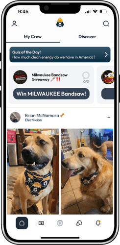 Banner add with dog in Trade Hounds bandana
