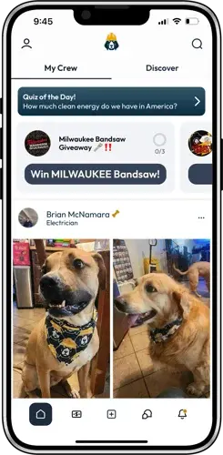 Banner add with dog in Trade Hounds bandana